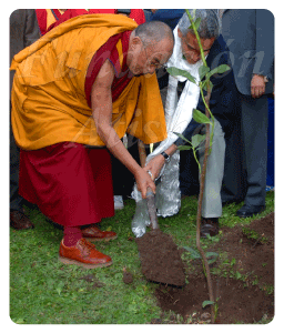 dalailamaplantando3_sellofundacion